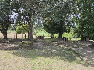 Chácara à Venda em Imperatriz MA – 22.004M² - foto 4