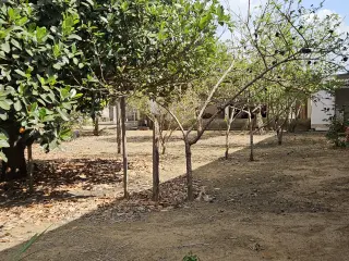 Casa com Amplo Terreno e Laje Pronta no Bairro Colina Park - foto 1