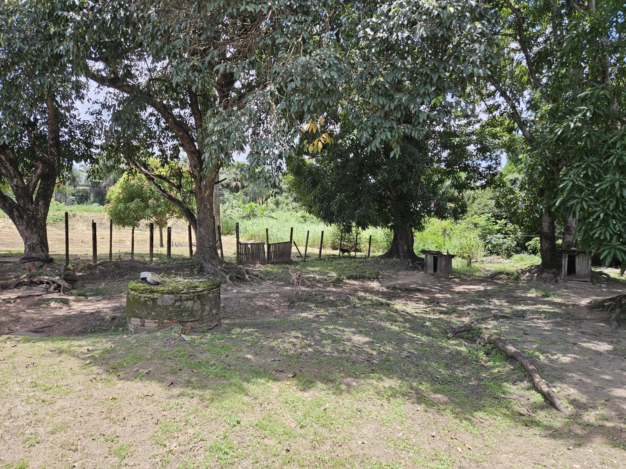 3 Chácara à venda em Imperatriz-MA
