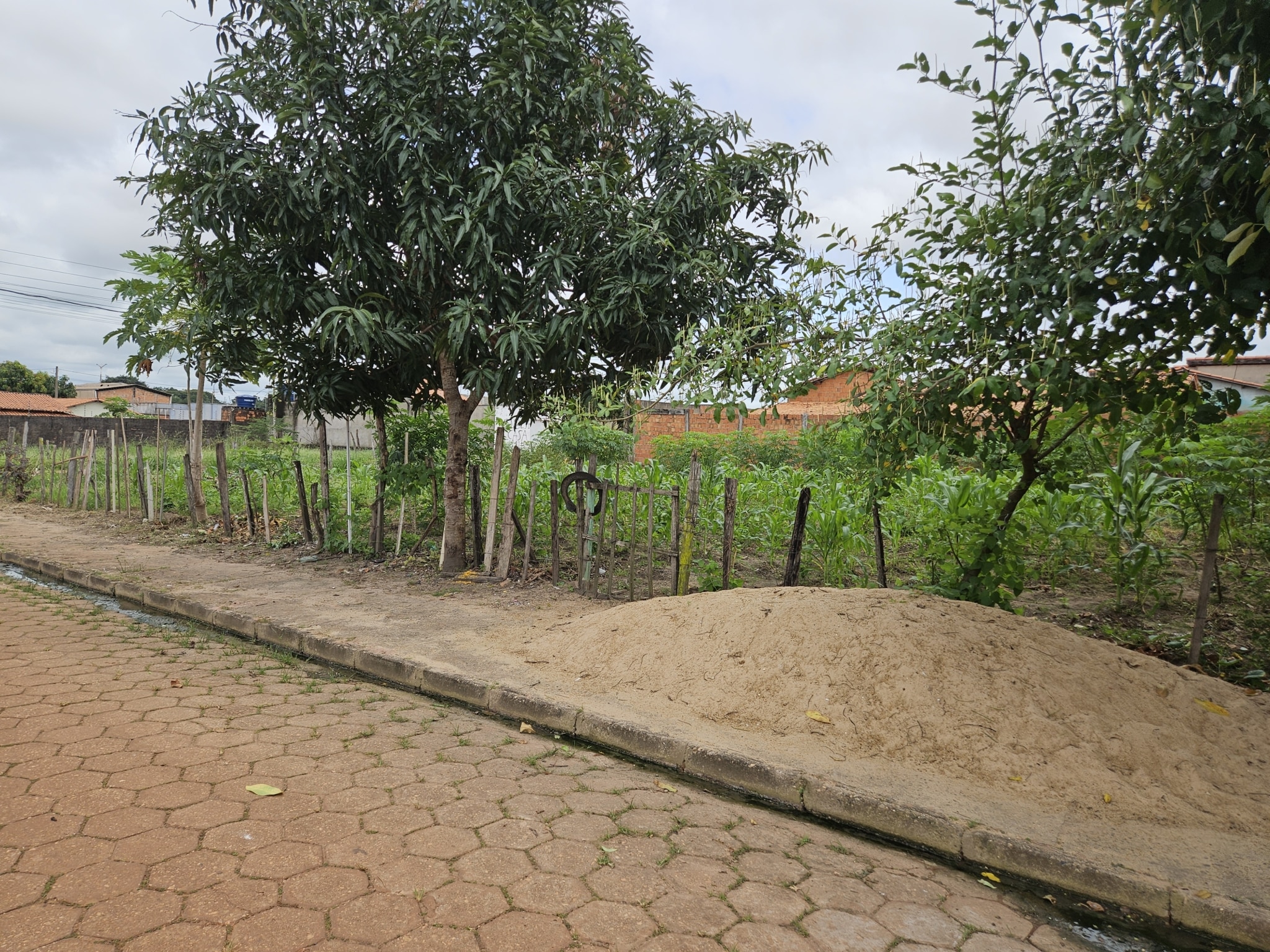 Terreno Residencial Tropical - Açailãndia MA