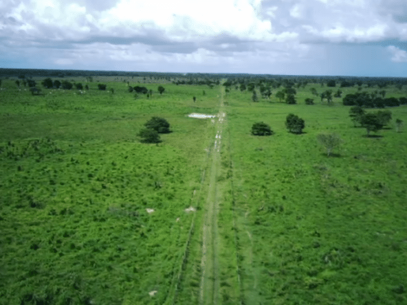 Fazenda à Venda Maranhão na Região de Bacabal