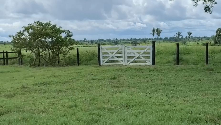Fazenda à Venda Maranhão na Região de Bacabal 3
