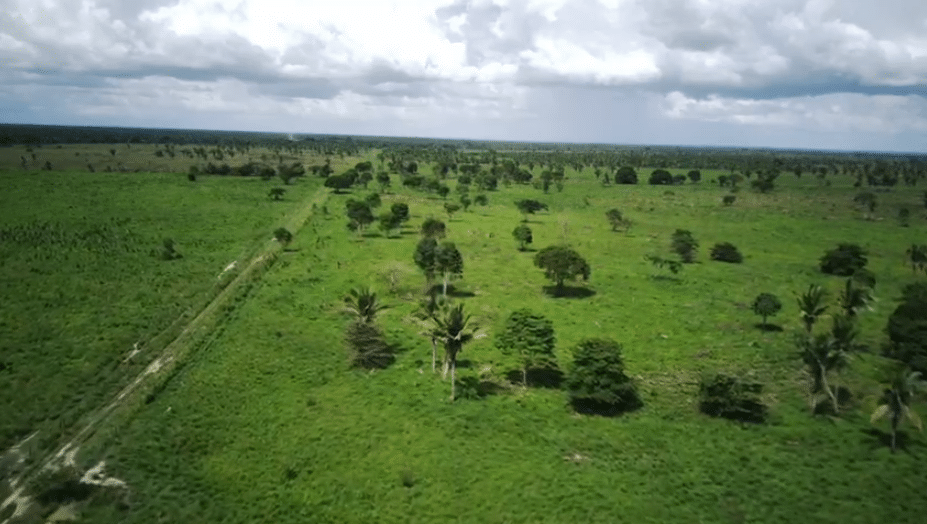 Fazenda à Venda Maranhão na Região de Bacabal 7
