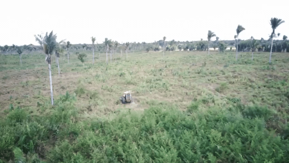 Fazenda à Venda Maranhão na Região de Bacabal 8