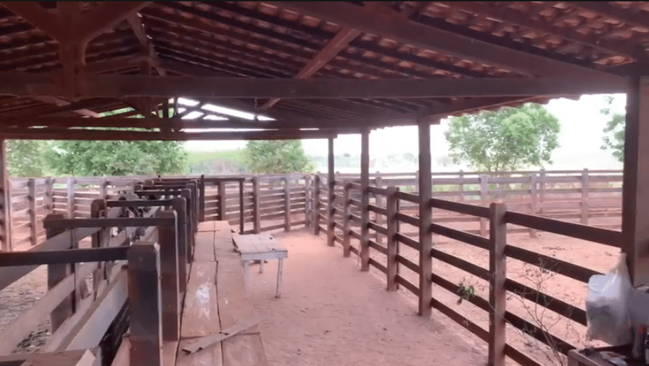 Fazenda à Venda Maranhão na Região de Bacabal 9
