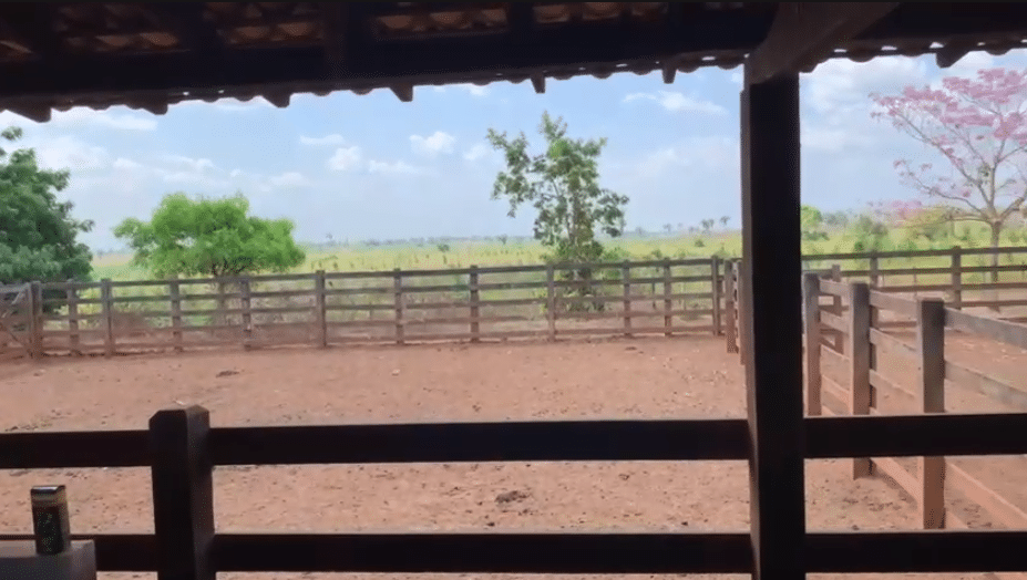 Fazenda à Venda Maranhão na Região de Bacabal 10