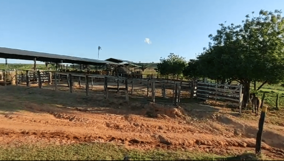 Fazenda à Venda Maranhão 258 alqueires - Bom Jesus das Selvas