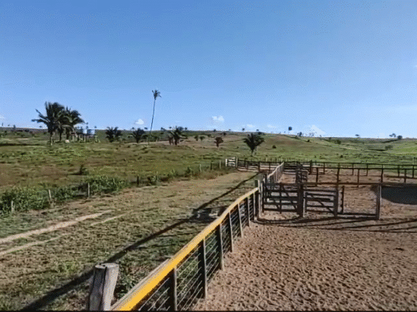 Fazenda à Venda Maranhão 258 alqueires - Bom Jesus das Selvas