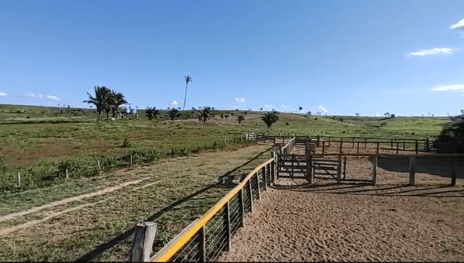 Fazenda à Venda Maranhão