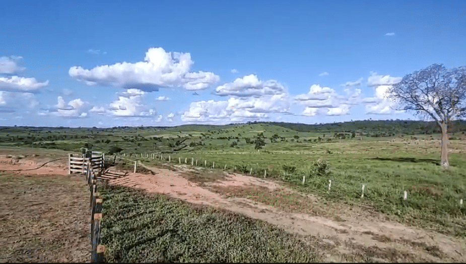 Fazenda à Venda Maranhão 258 alqueires - Bom Jesus das Selvas