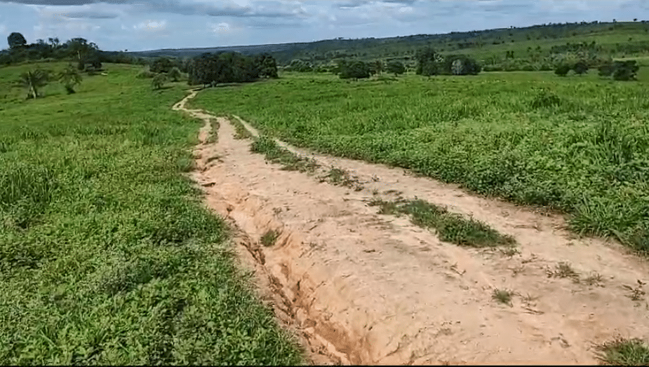 Fazenda à Venda Maranhão 258 alqueires - Bom Jesus das Selvas