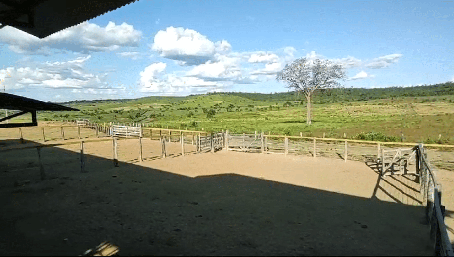 Fazenda à Venda Maranhão 258 alqueires - Bom Jesus das Selvas