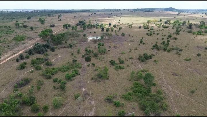 Fazenda à Venda Maranhão