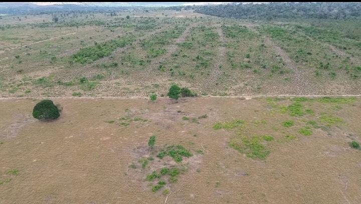 Fazenda à Venda Maranhão