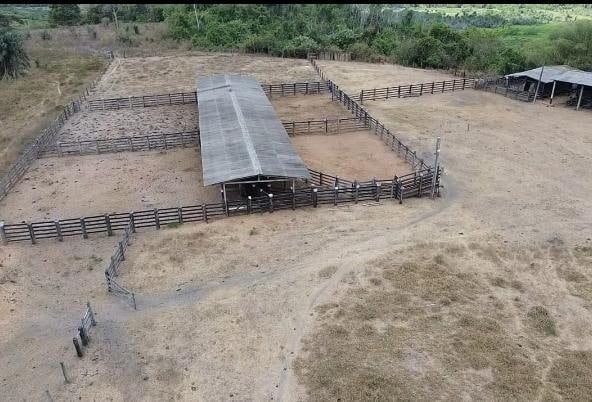 Fazenda à Venda Maranhão 1.114 ha