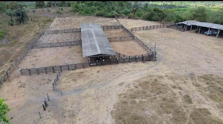 Fazenda à Venda Maranhão 1.114 ha