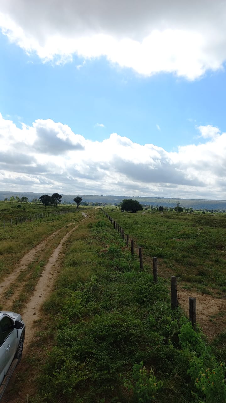 Fazenda à Venda Maranhão
