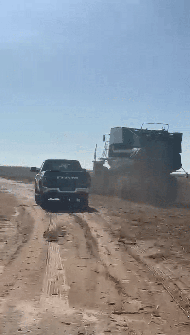 Fazenda à Venda em Caxias MA 1.600 Hectares