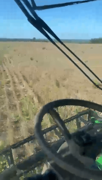 Fazenda à Venda em Caxias MA 1.600 Hectares