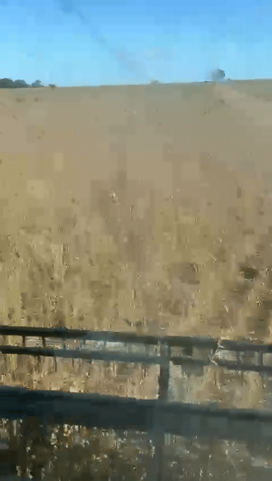 Fazenda à Venda em Caxias MA 1.600 Hectares