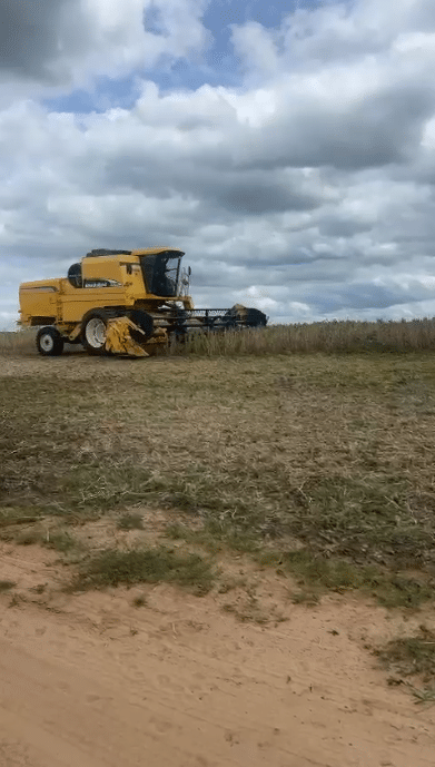Fazenda à Venda em Caxias MA 1.600 Hectares